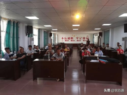 定安縣雷鳴鎮舉辦化肥減量增效技術培訓班，以信息技術咨詢助力現代農業發展