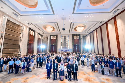 品牌新時代已來 優易化攜手大灣區，共拓全球信息技術咨詢新藍海